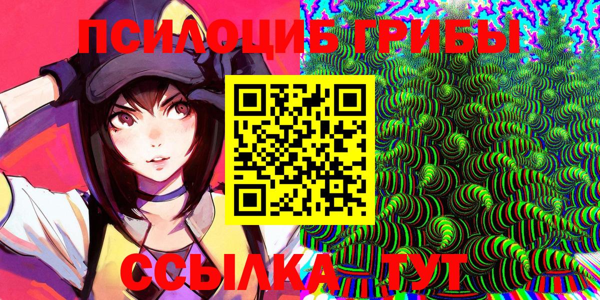 Псилоцибиновые грибы мицелий Нововоронеж