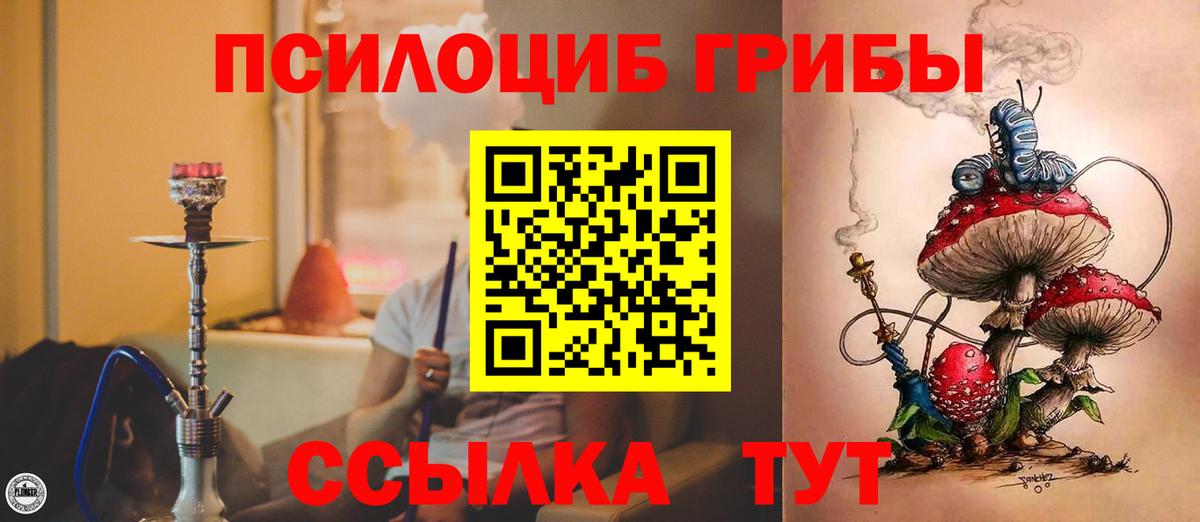 Нововоронеж  Псилоцибиновые грибы прущие грибы  Вход с VPN 